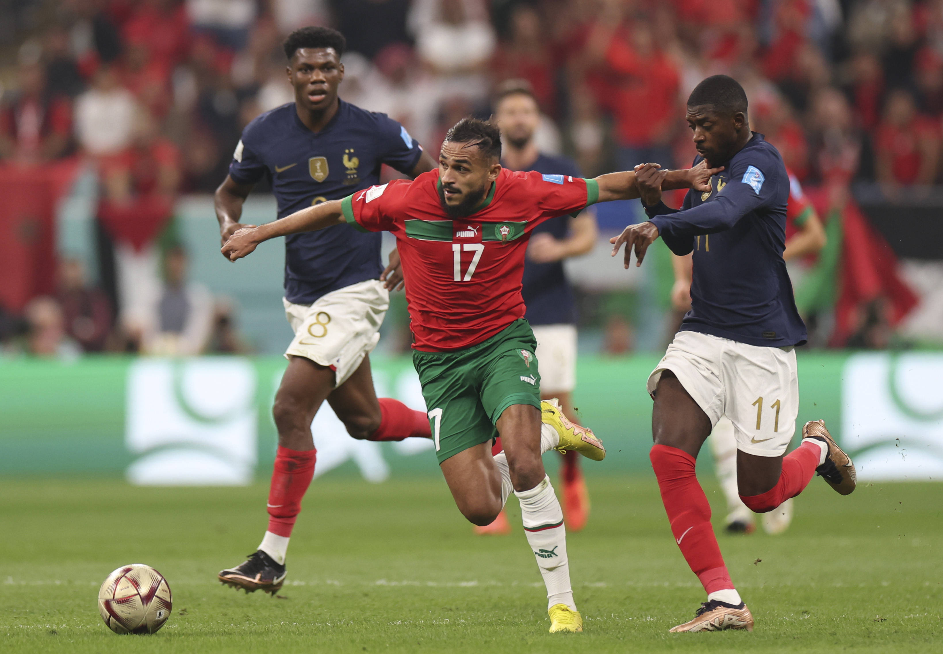 熟悉毋庸置 熟悉毋庸置